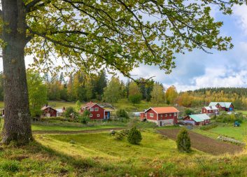 Inspel från Mistra Digital Forest till Smart landsbygd i nationella geodatastrategin