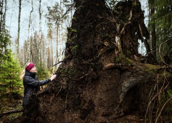 ”Det går inte att kompromissa med skogens biologiska mångfald”