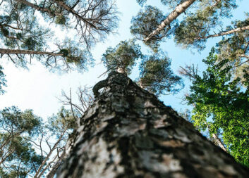 Digitala lösningar i sikte