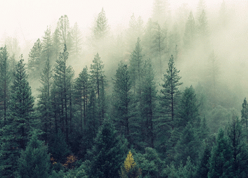 Nyhetsbrev december 2021