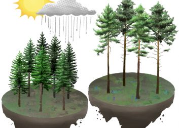 New tools for more sustainable forestry