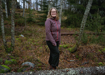 Mer information från täta laserdata och skördardata