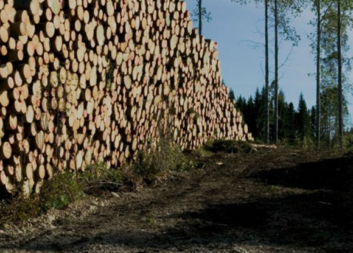 Semi-automated harvesters and driverless shuttles – here are the industry’s suggestions for the forest machines of the future