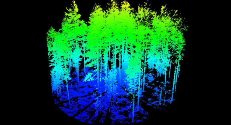 Laserdata från en provyta. Bild: Kenneth Olofsson