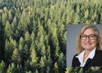 Kan AI hantera målkonflikter i skogen?