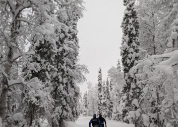 Ny doktorand integrerar sociala värden i skogsbruket