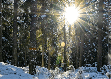 Nytt nyhetsbrev ute!