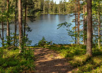 Sommarnyheter ute nu!