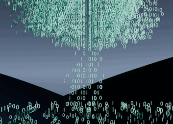 Forest data under the microscope – report looks for value creation strategies